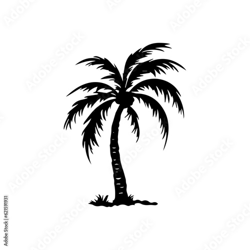 palm tree silhouette illustration 