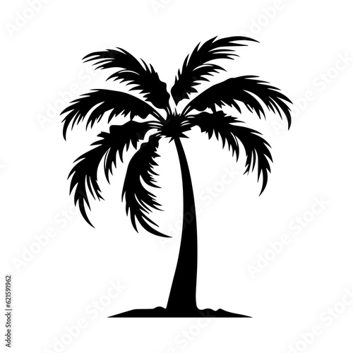 palm tree silhouette illustration 