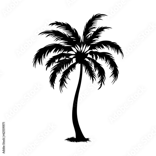 palm tree silhouette illustration 