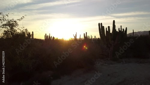 Aerial: Drone Flying Over Plants And House Near Mountain Range Against Cloudy Sky At Sunset - Baja California, Mexico