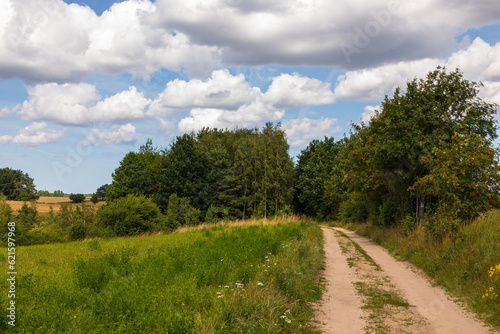 Glade road in the middle of the forest, Pomerania, Poland.