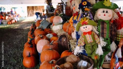 scarecrow and pumpkins