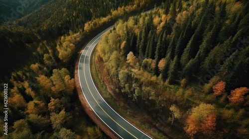 Drone eye view of a winding forest road, journey through the serene green pine landscape © iridescentstreet