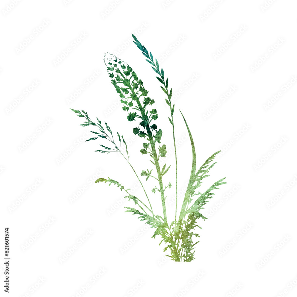 Fototapeta premium Dried grass floral bouquet 3