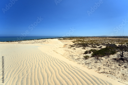 Beautiful Landscape Desert  White Sand Dunes of Mui Ne  Vietnam