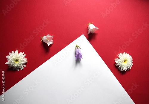 white flower of chrisantemum and bell on red background and white paper frame with copy space