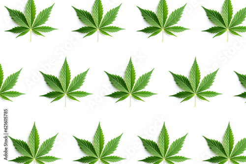 cannabis leaf pattern on a white background