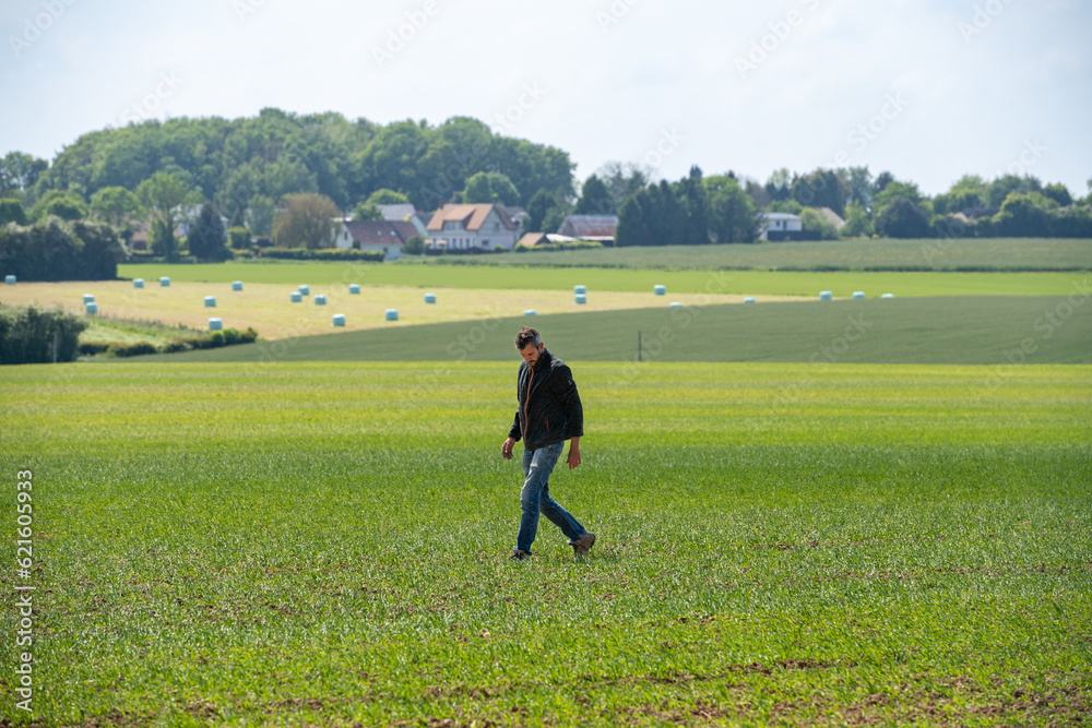 Jeune agriculteur inspectant un champ de blé. Paysage bucolique