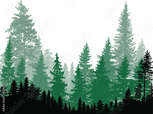 fir trees green high forest on white background