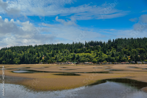 2023-06-03 LOW TIDE ON WHIDBEY ISLAND WITH EXPOSED SAND AND TREE LINE AND CLOUDY SKY photo