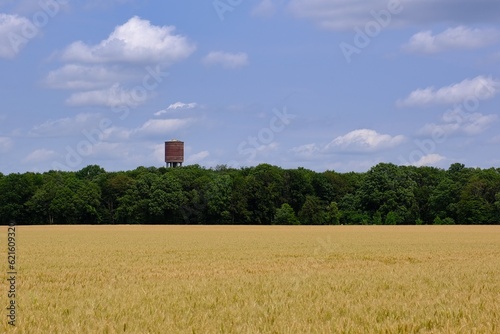 Getreidefeld mit Wasserturm im Hintergrund im Sommer © Karsten