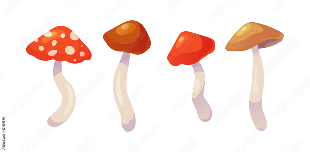 Beautiful vector mushrooms. Forest mushrooms fly agaric, grebe, porcini, boletus, honey mushrooms.