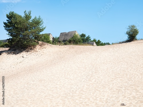 Fototapeta Naklejka Na Ścianę i Meble -  Sand dunes in Zahorie, Slovakia