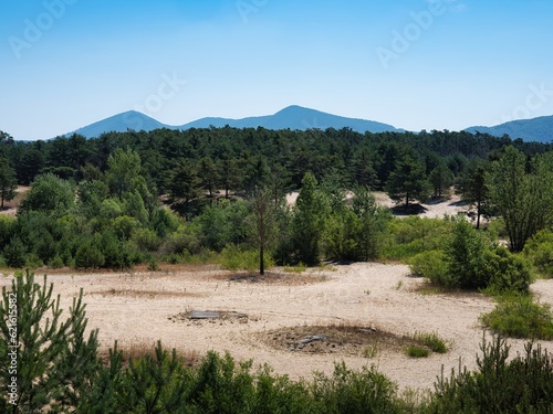 Sand dunes in Zahorie, Slovakia