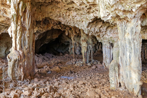 Podobny obraz