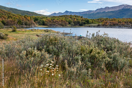 View of a meadow close to Lapataia river at Patagonia, Argentina