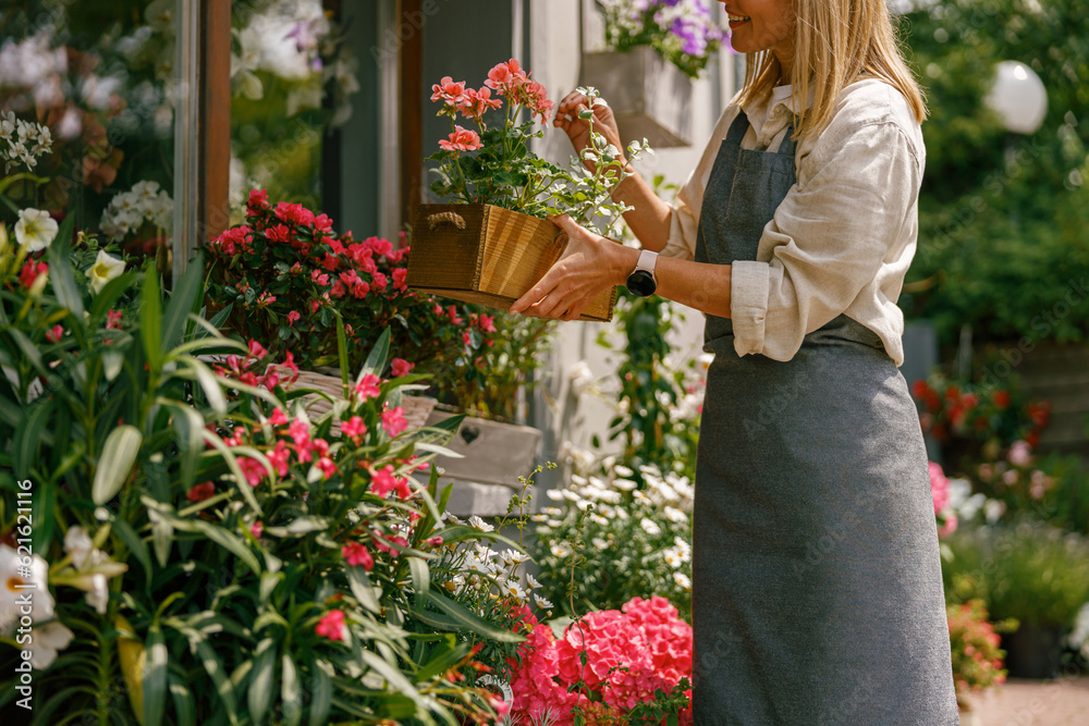 Female florist taking care of houseplant in flower shop. Plant care concept. High quality photo