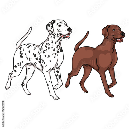 Dalmatian Dog Art Illustration Vector