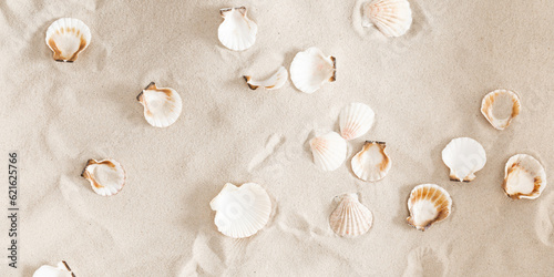 Fototapeta Naklejka Na Ścianę i Meble -  Seashell on clean sand of beach. Close up, beach sand texture. Beach sand texture in summer sun.