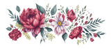 Watercolor floral composition on transparent background,generative ai