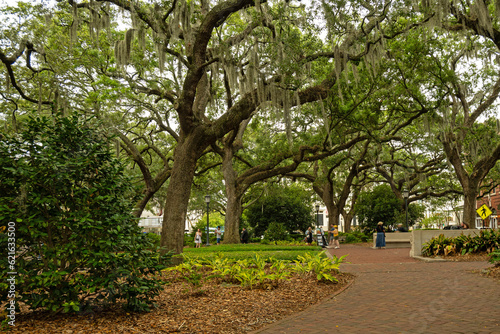 park in downtown Savannah © Diana