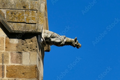 Fotografi Gargouille de la cathédrale Notre-Dame-de-l'Annonciation de Moulins