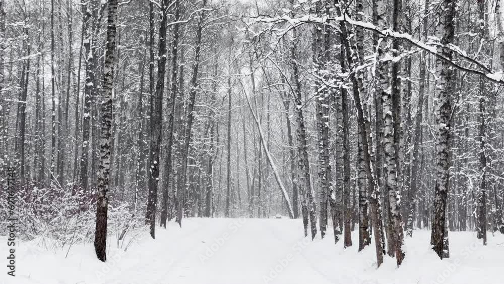 people walk in a snowy park during a snowfall, a lot of snow, black tree trunks