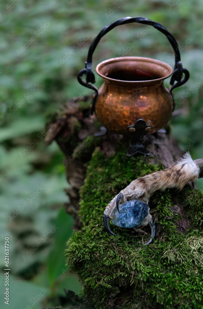 magic amulet made of a bird's leg with crystal and copper witch cauldron on mossy stump, abstract dark forest background. occult esoteric ritual, witchcraft, spiritual practice. fairytale atmosphere.
