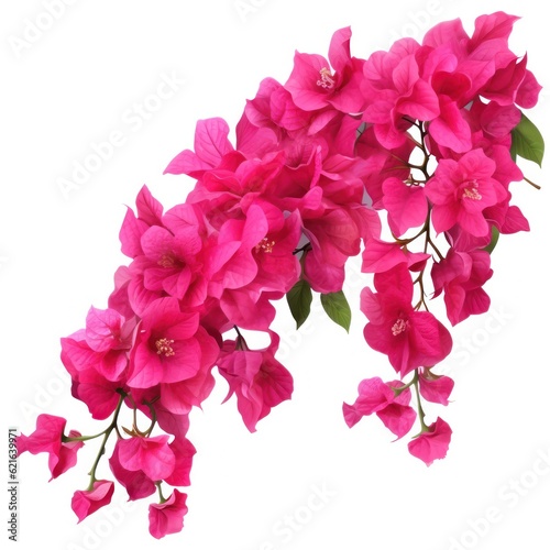 Fotografie, Tablou Pink Bougainvillea plants, Illustration AI Generative.