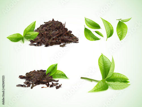 Realistic dry tea. Heap of dried black leaves and herbal bunch green leaf growing plant, foliage pile nature caffeine products elements chinese puer leafs exact vector illustration