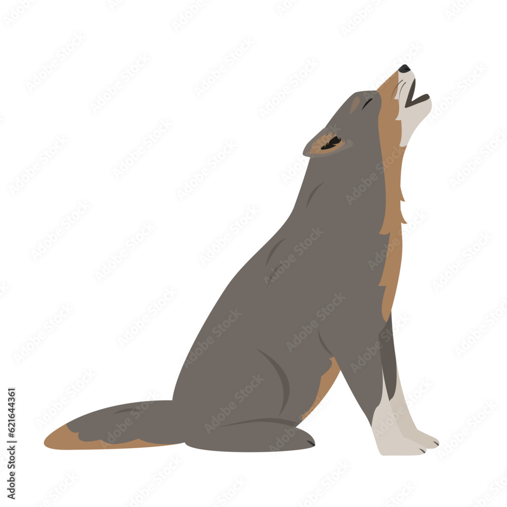 Wolf sitting and howling. Wild gray wolf animal icon. Canis lupus. Vector illustration isolated on white background.