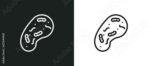 Fototapeta Naklejka Na Ścianę i Meble -  microbiology outline icon in white and black colors. microbiology flat vector icon from chemistry collection for web, mobile apps and ui.