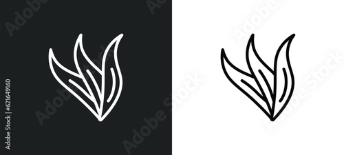 aloe vera outline icon in white and black colors. aloe vera flat vector icon from beauty collection for web, mobile apps and ui.