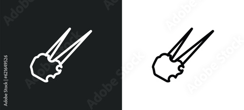 aerolite outline icon in white and black colors. aerolite flat vector icon from astronomy collection for web, mobile apps and ui.