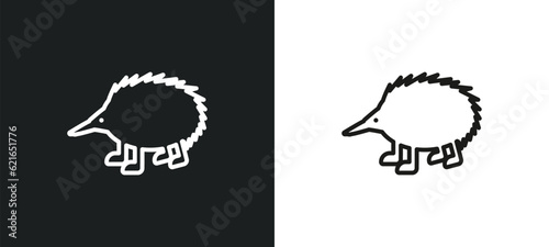 Billede på lærred echidna outline icon in white and black colors
