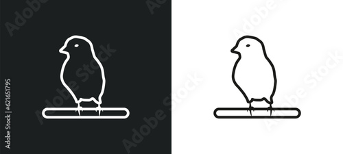 canary outline icon in white and black colors. canary flat vector icon from animals collection for web, mobile apps and ui.