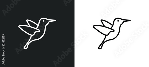 colibri outline icon in white and black colors. colibri flat vector icon from animals collection for web, mobile apps and ui.