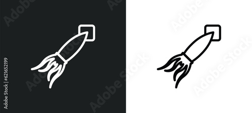 squid outline icon in white and black colors. squid flat vector icon from animals collection for web, mobile apps and ui.