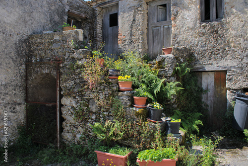 old house with flowers