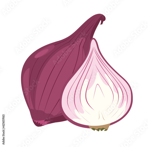 red onion vector illustration cartoon design