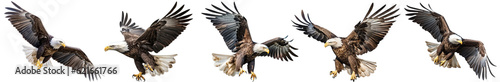Fotografia Set of eagles isolated on a transparent background. generative AI