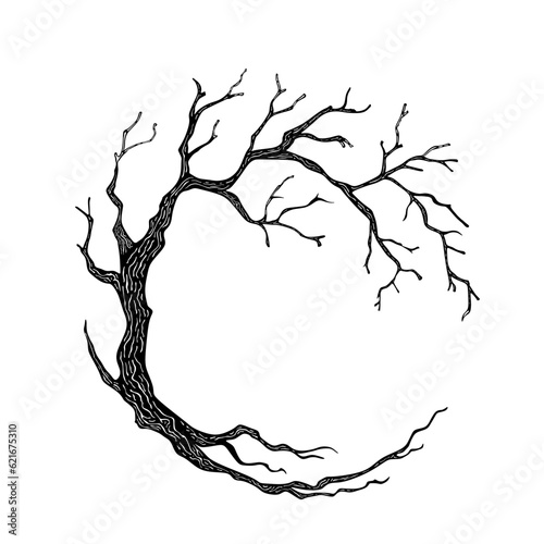 Circle Tree bare, leafless tree with empty branches