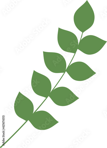 plant leaves 235