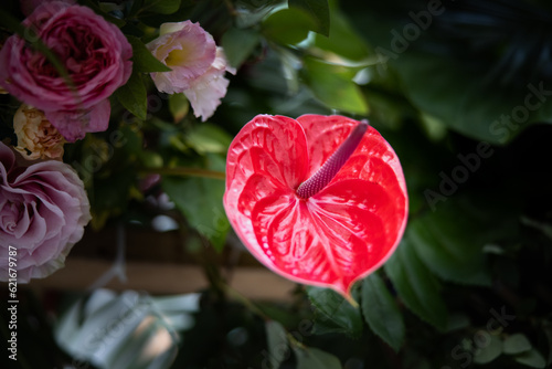 Tropical Traditional Wedding Botanical Nature Bokeh Close-up Event Events Flower Flowers Asian Arch Forest Jungle Ceremony Reception Table Settings Anthurium Rose Peony Fern