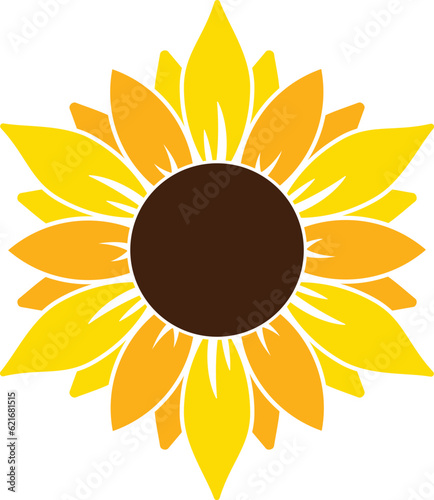 Sunflower vector illustration. Large flat sunflower with yellow and orange layered petals.