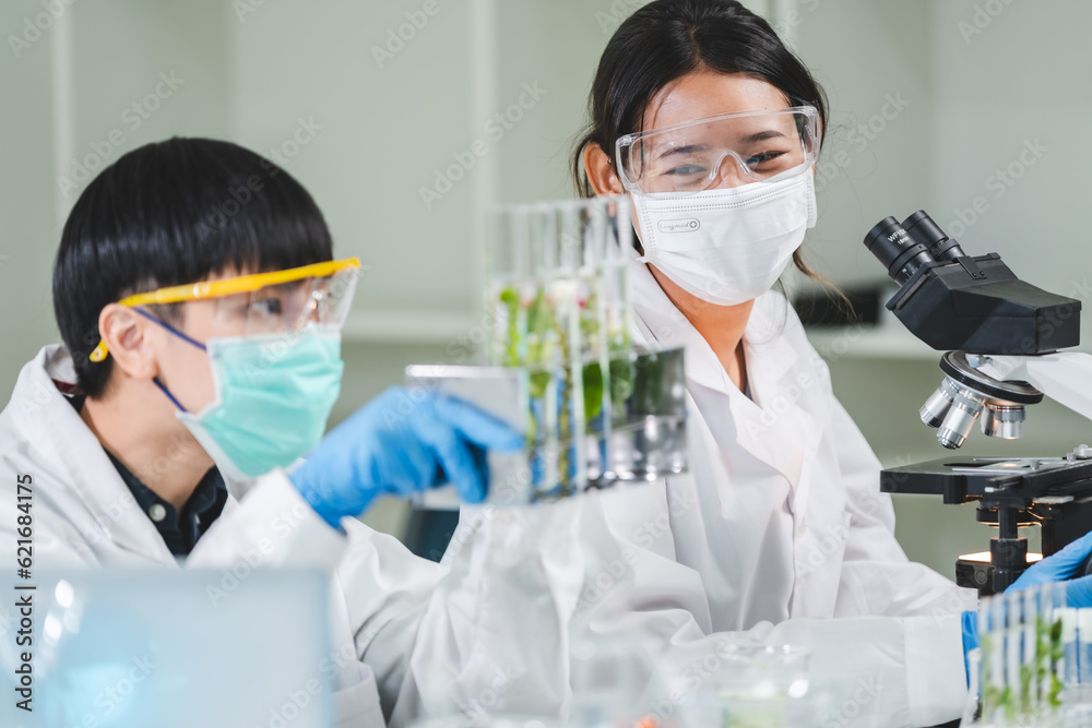 botany science laboratory, green plant experiment for medicine biology or biotechnology, scientist research an organic nature leaf in genetic chemistry for agriculture technology, growth test in glass botany science laboratory, green plant experiment for medicine biology or biotechnology, scientist research an organic nature leaf in genetic chemistry for agriculture technology, growth test in glass