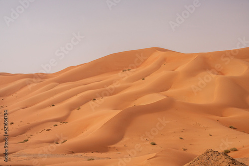 Empty Quarter Desert in AsiaThe Rub' al Khali is the sand desert encompassing most of the southern third of the Arabian Peninsula. The desert covers some 650,000 km² including parts of Saudi Arabia, O