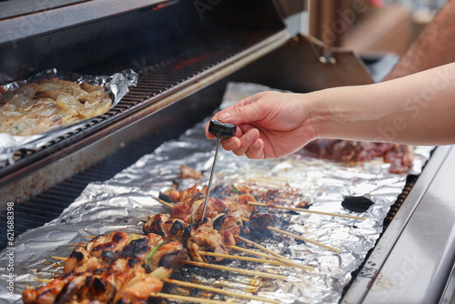 Sizzling skewers of beef, pork, chicken, and shrimp grilling over an open flame, representing indulgence, gathering, and culinary delights hot dogs and hamburgers too 
