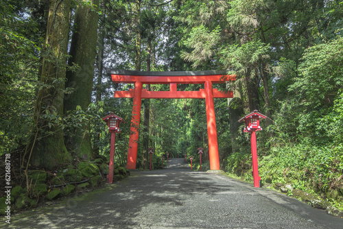 Torii gate in Japanese temple gate at Hakone Shrine near lake Ashi at Hakone city, Kanagawa prefecture, Japan © kitinut