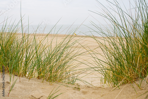 Fototapeta Naklejka Na Ścianę i Meble -  Sand dunes with marram grass and empty beach on Dutch coastline. Netherlands in overcast day. The dunes or dyke at Dutch north sea coast